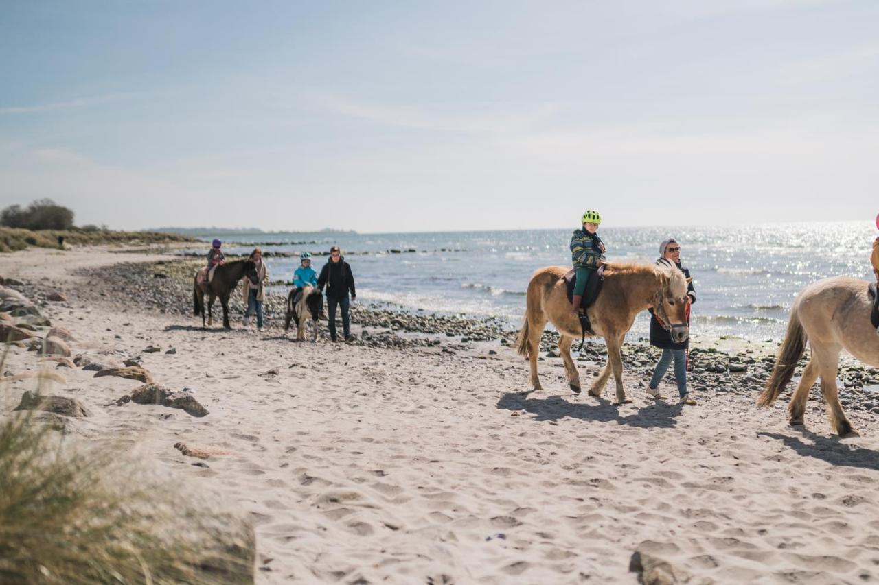 Buedlfarm - Der Familien-Erlebnishof In Strandnaehe Fehmarn Bagian luar foto