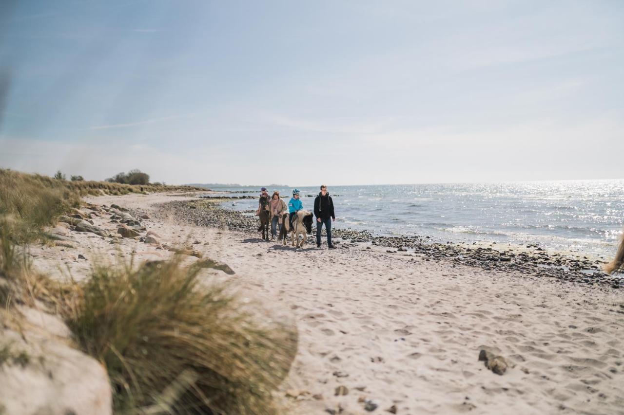 Buedlfarm - Der Familien-Erlebnishof In Strandnaehe Fehmarn Bagian luar foto